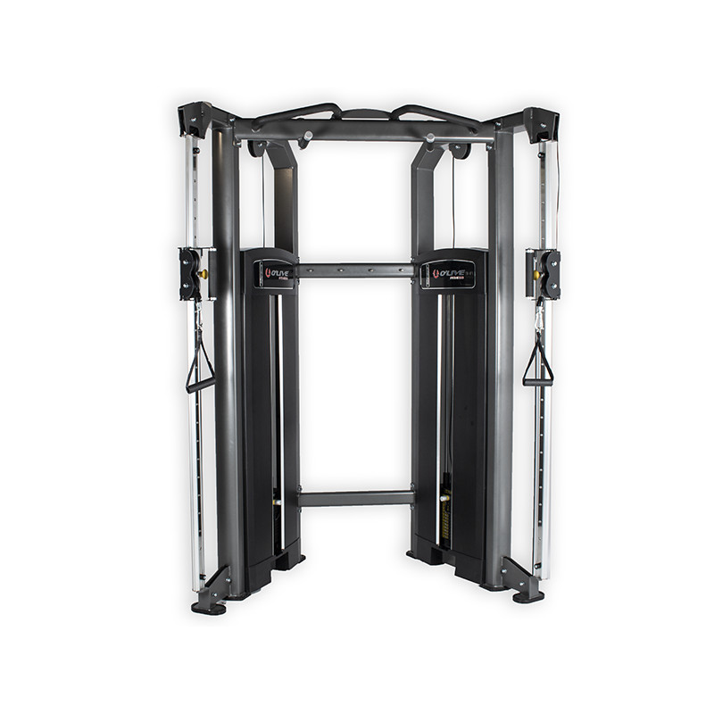 Estacion de polea doble o live fitness