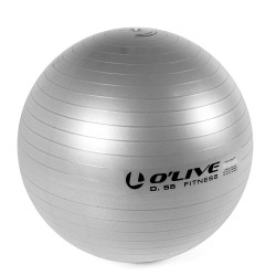 Fitness Ball O'Live Gris 55 cm