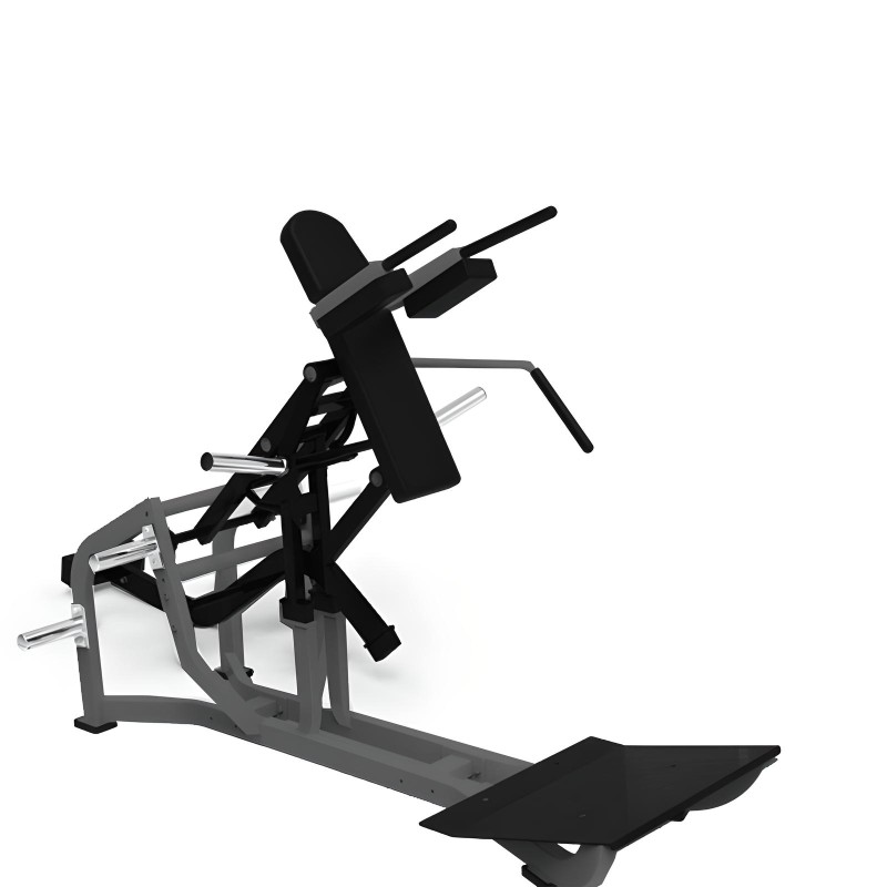 V squat o live fitness