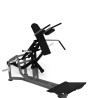 V squat o live fitness