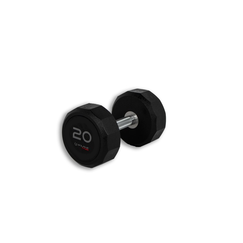 Mancuernas Pro-Style Élite 20kg BLK EDT