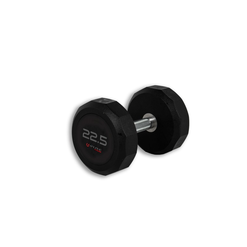 Mancuernas Pro-Style Élite 22,5kg BLK EDT