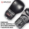FI06600.00