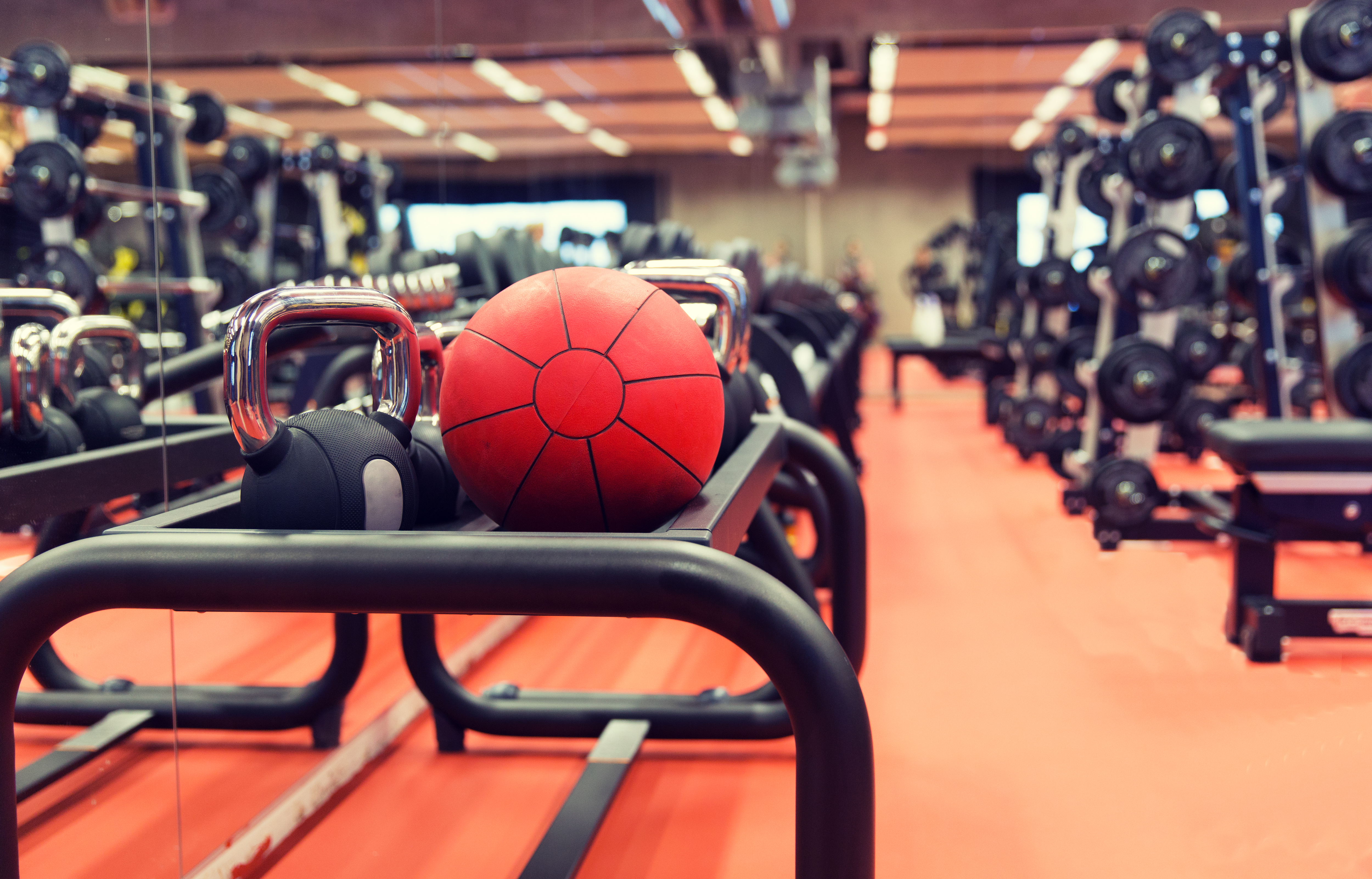 equipamiento gimnasios